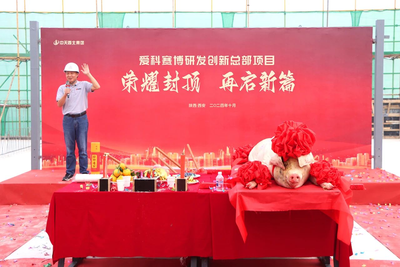 管家婆四肖三必出